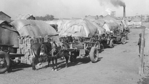 【jpg清晰版】驴车和店铺塔库1940年.jpg