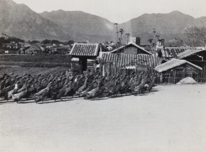 【jpg清晰版】鸭子去市场九龙香港.jpg