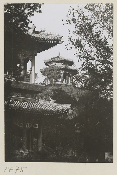 【jpg清晰版】齐望楼角落背景是周山亭.jpg