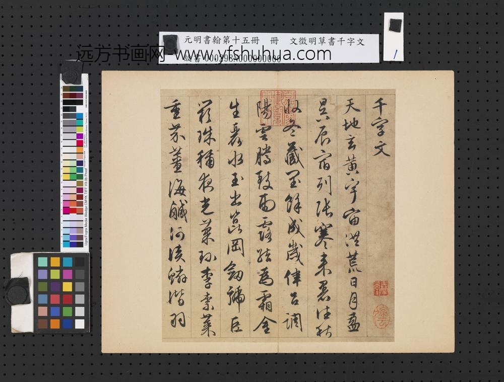 元明书翰第十五册明文征明草书千字文