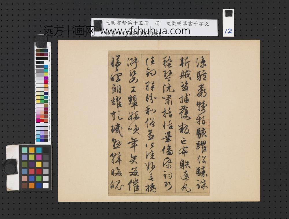元明书翰第十五册明文征明草书千字文