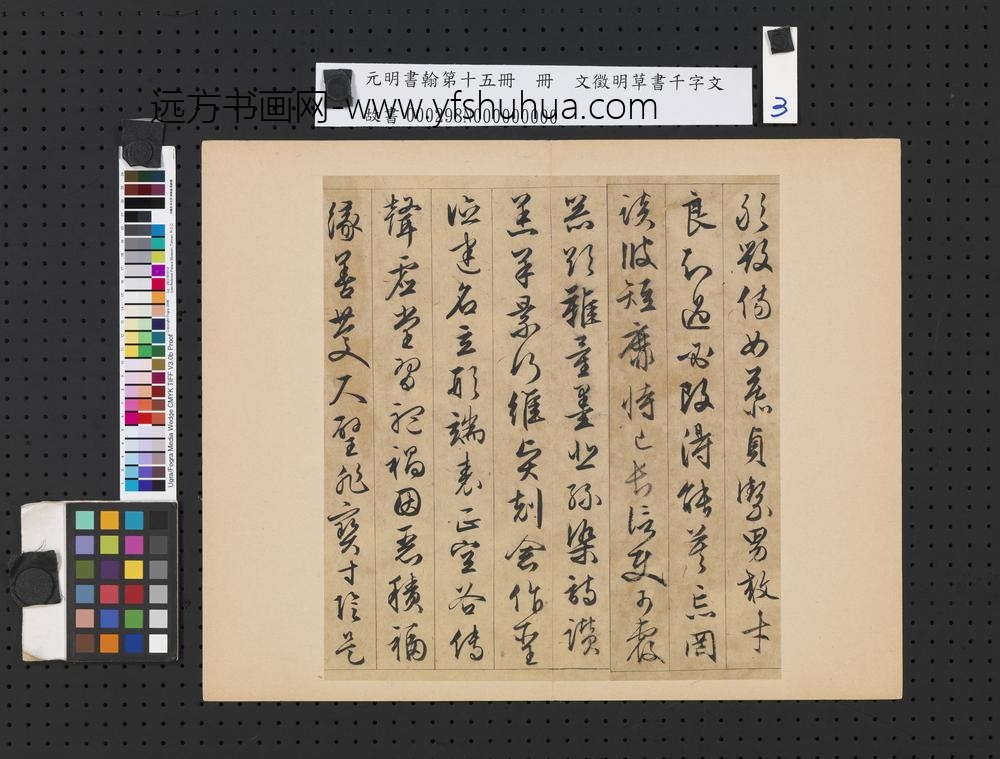 元明书翰第十五册明文征明草书千字文