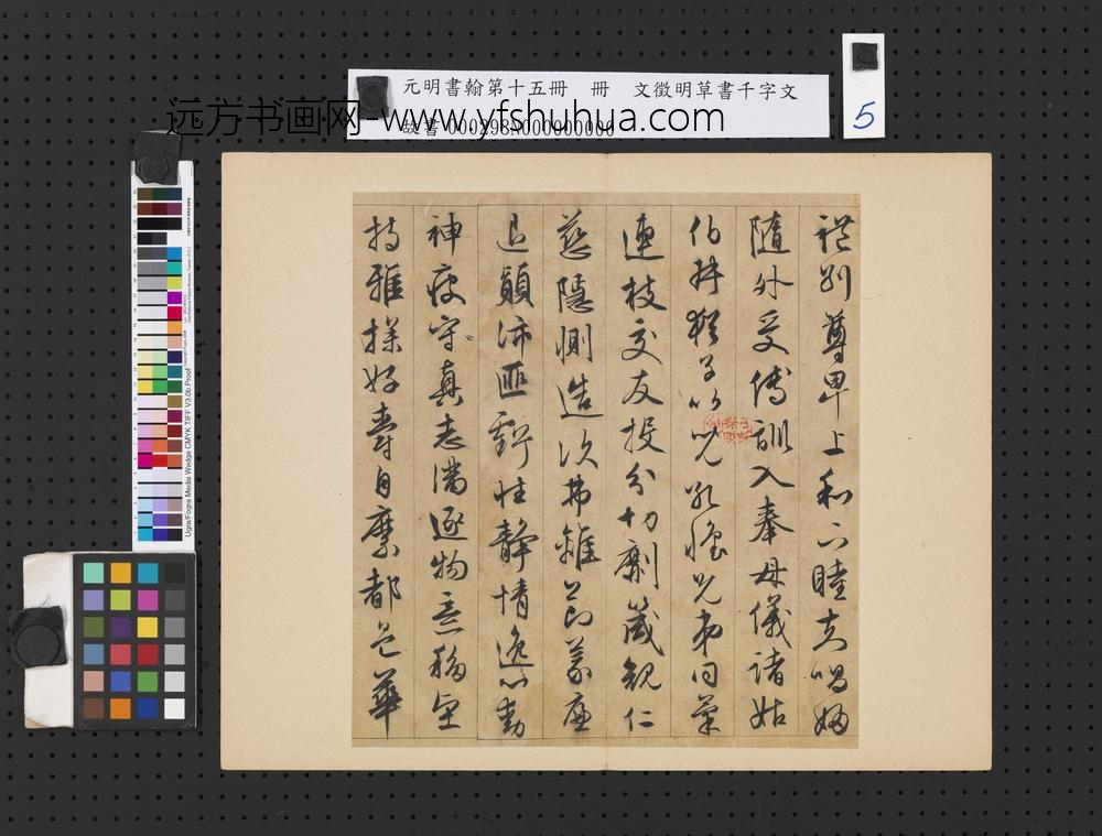 元明书翰第十五册明文征明草书千字文