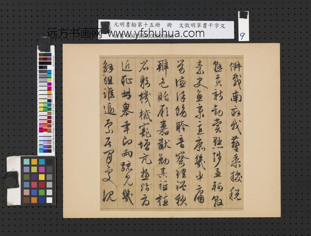 元明书翰第十五册明文征明草书千字文