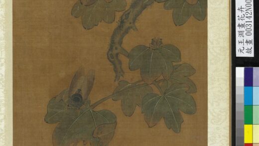 元王渊画花卉册梧桐.jpg