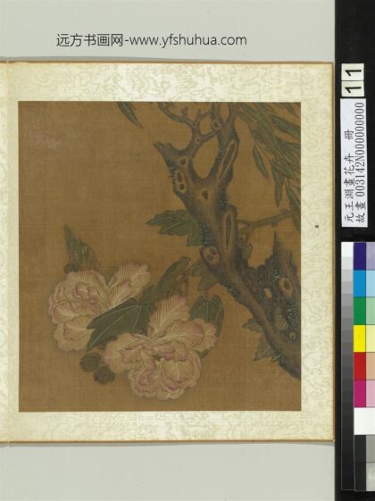 元王渊画花卉册芙蓉.jpg