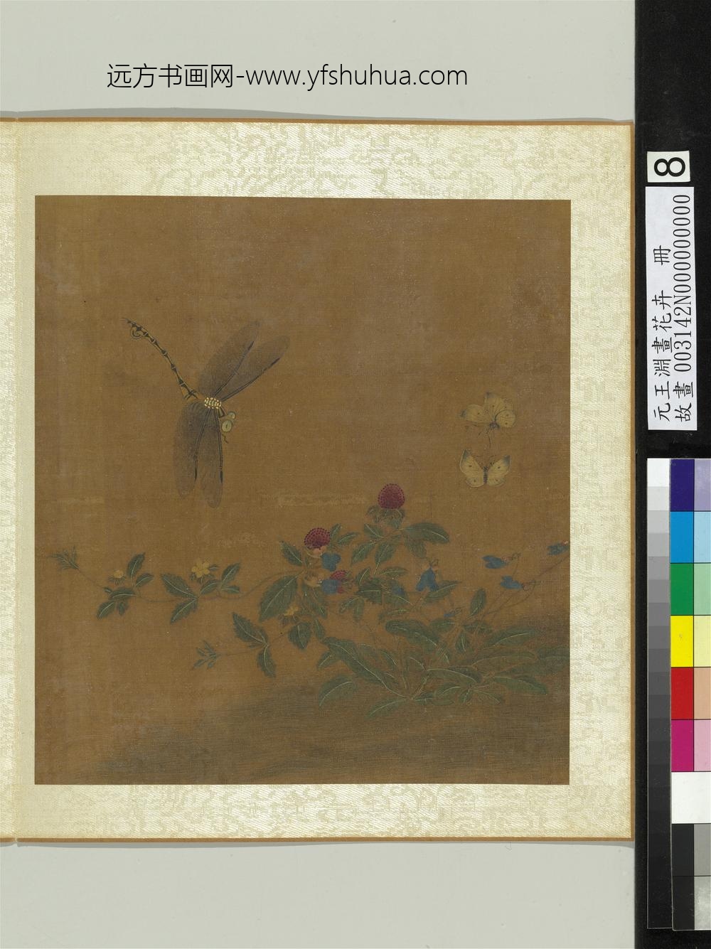 元王渊画花卉册花蝶蜻蜓