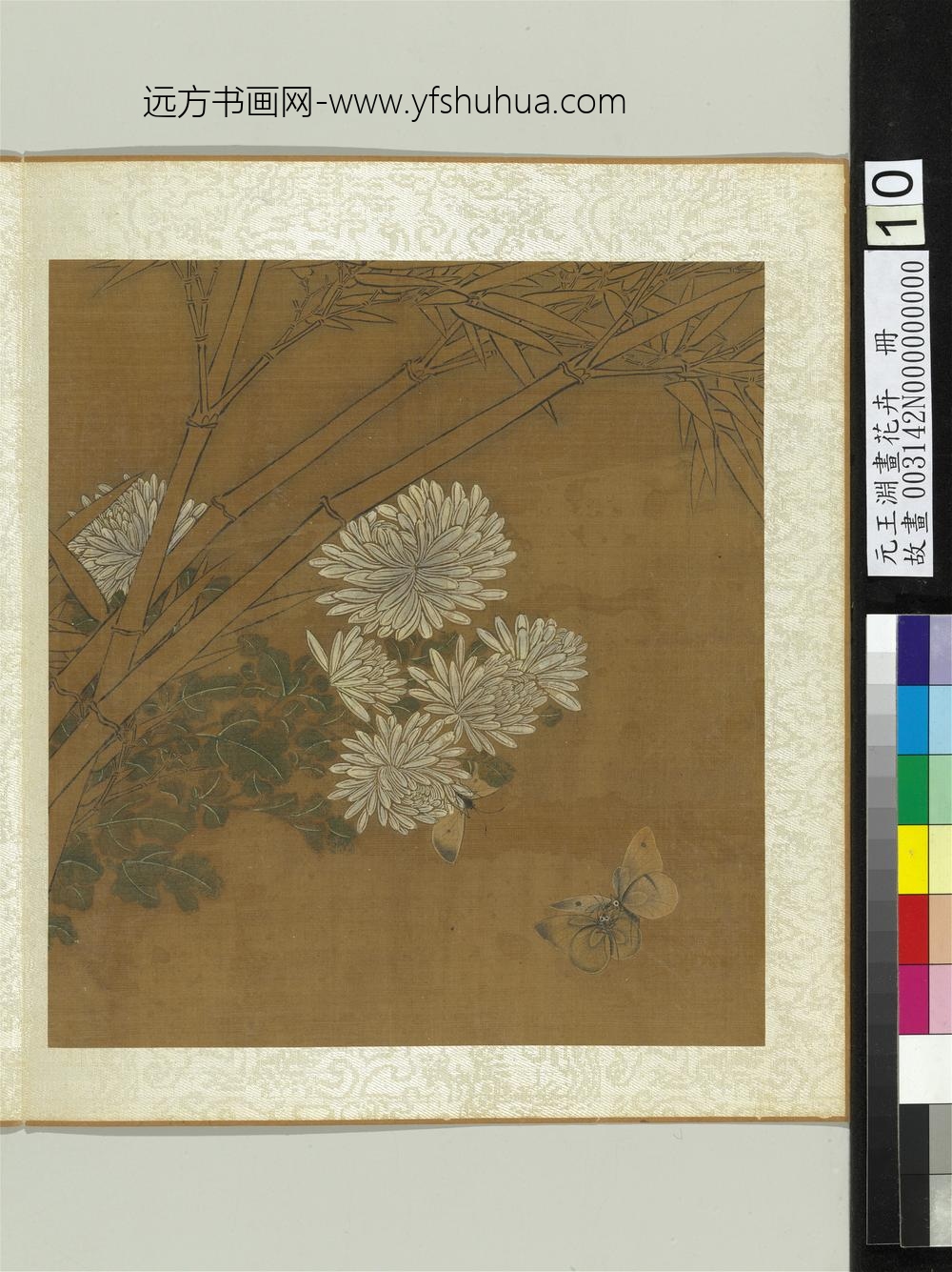 元王渊画花卉册菊