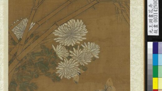 元王渊画花卉册菊.jpg