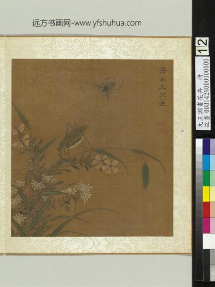 元王渊画花卉册菊石竹.jpg