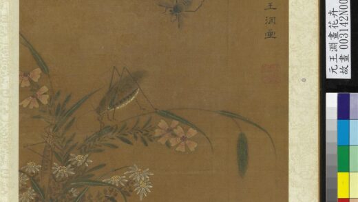 元王渊画花卉册菊石竹.jpg
