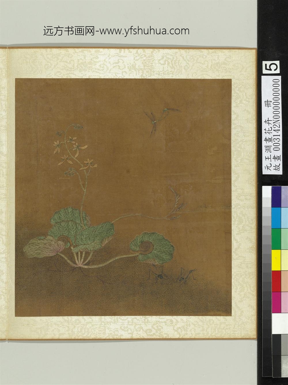 元王渊画花卉册虎耳草