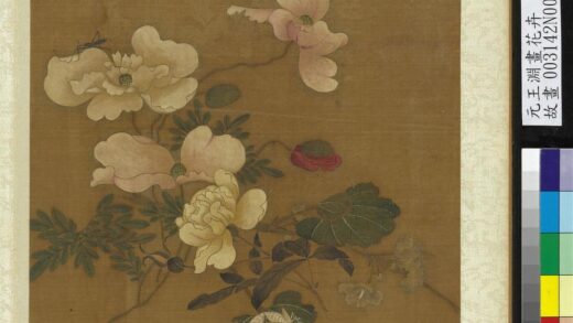 元王渊画花卉册虞美人月季.jpg