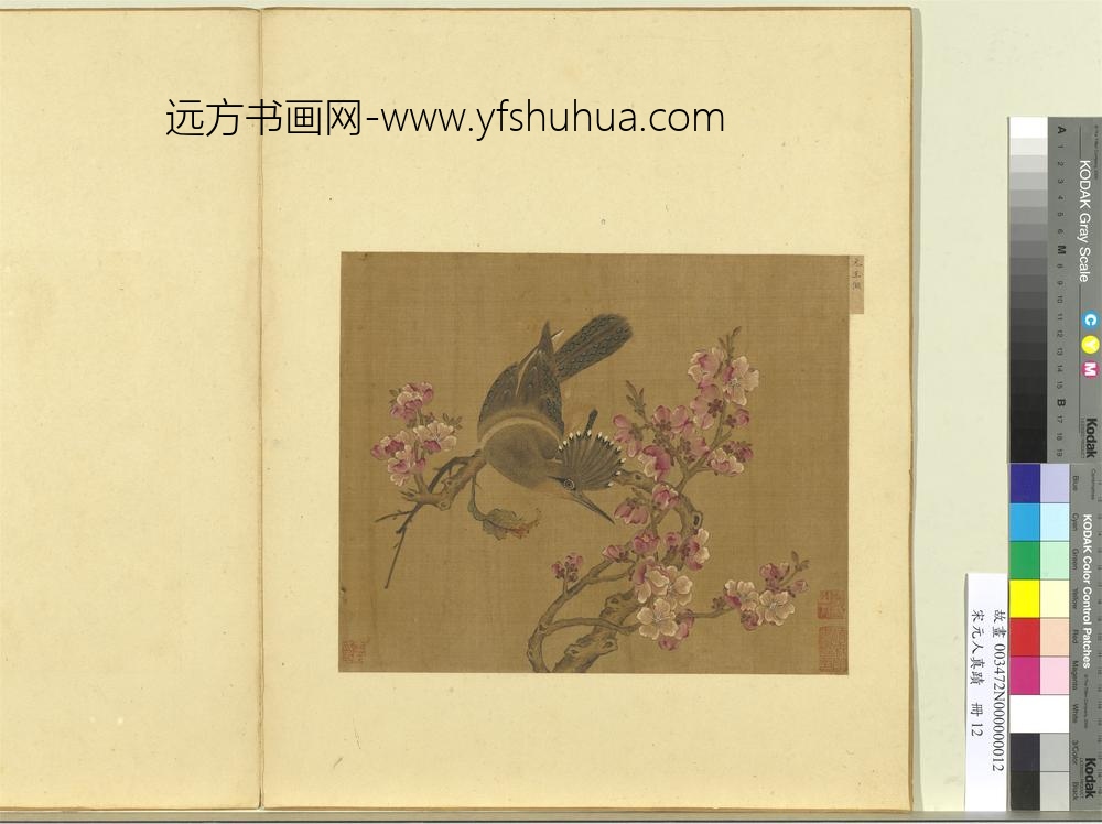 宋元人真迹册元王渊杏花