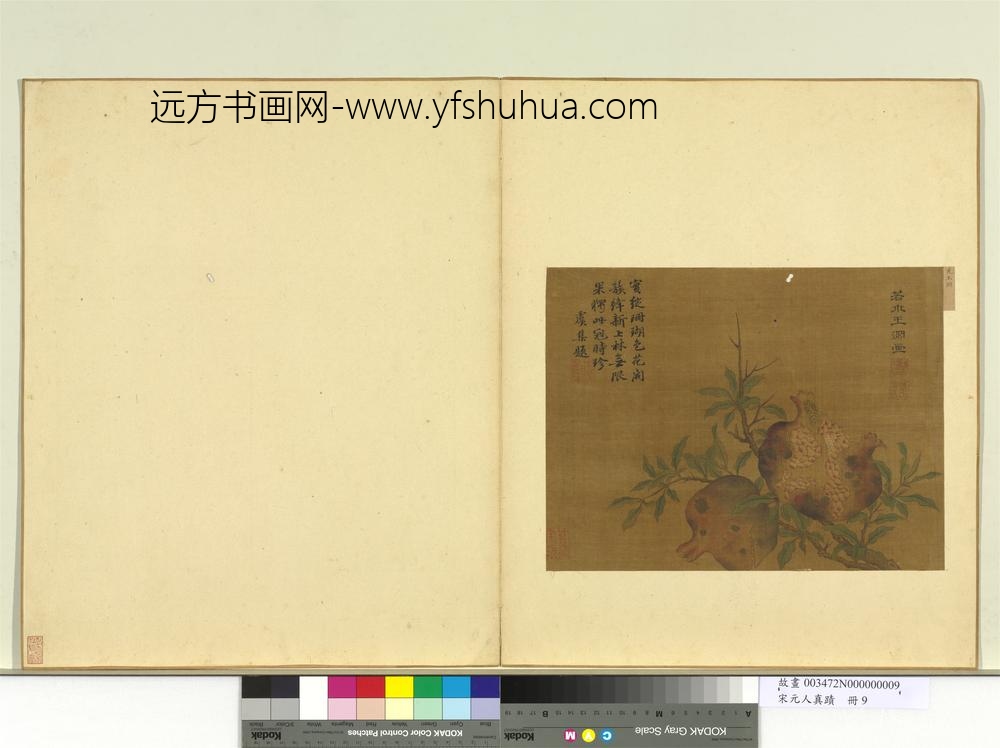 宋元人真迹册元王渊画石榴