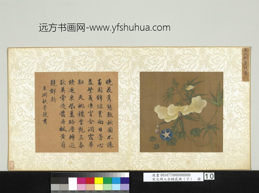宋元明人合锦贰册（下）册元王渊秋芳竞秀