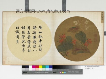 宋元集绘册宋王渊秋海棠.jpg