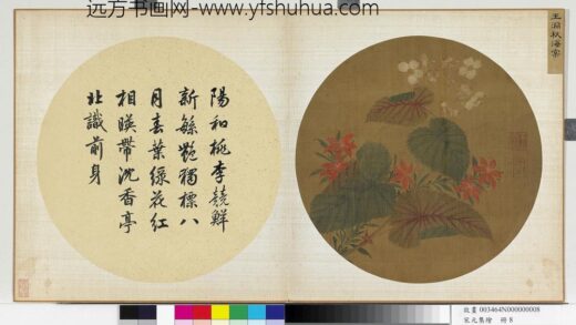 宋元集绘册宋王渊秋海棠.jpg