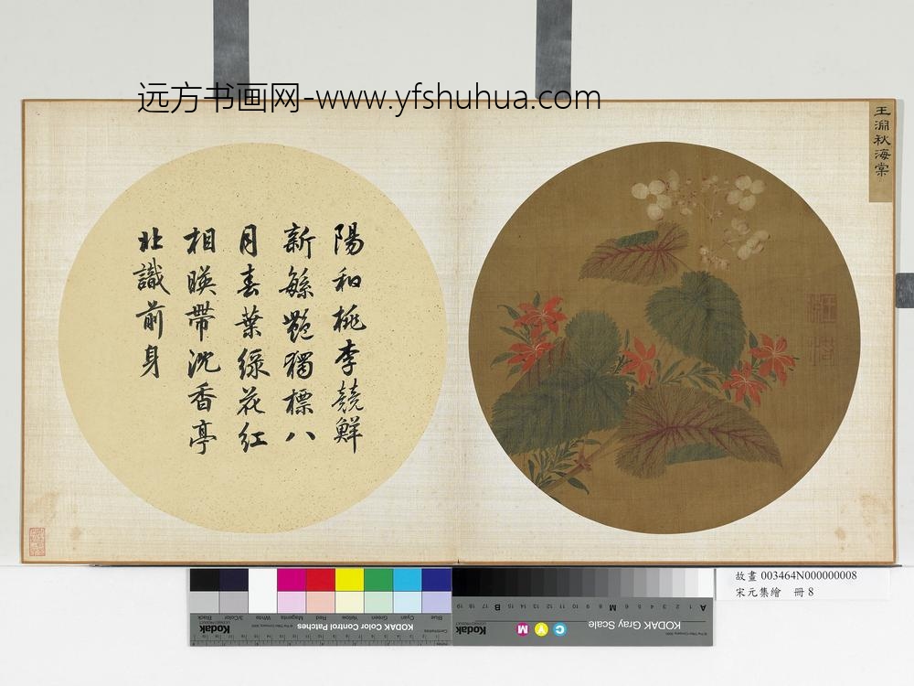 宋元集绘册宋王渊秋海棠