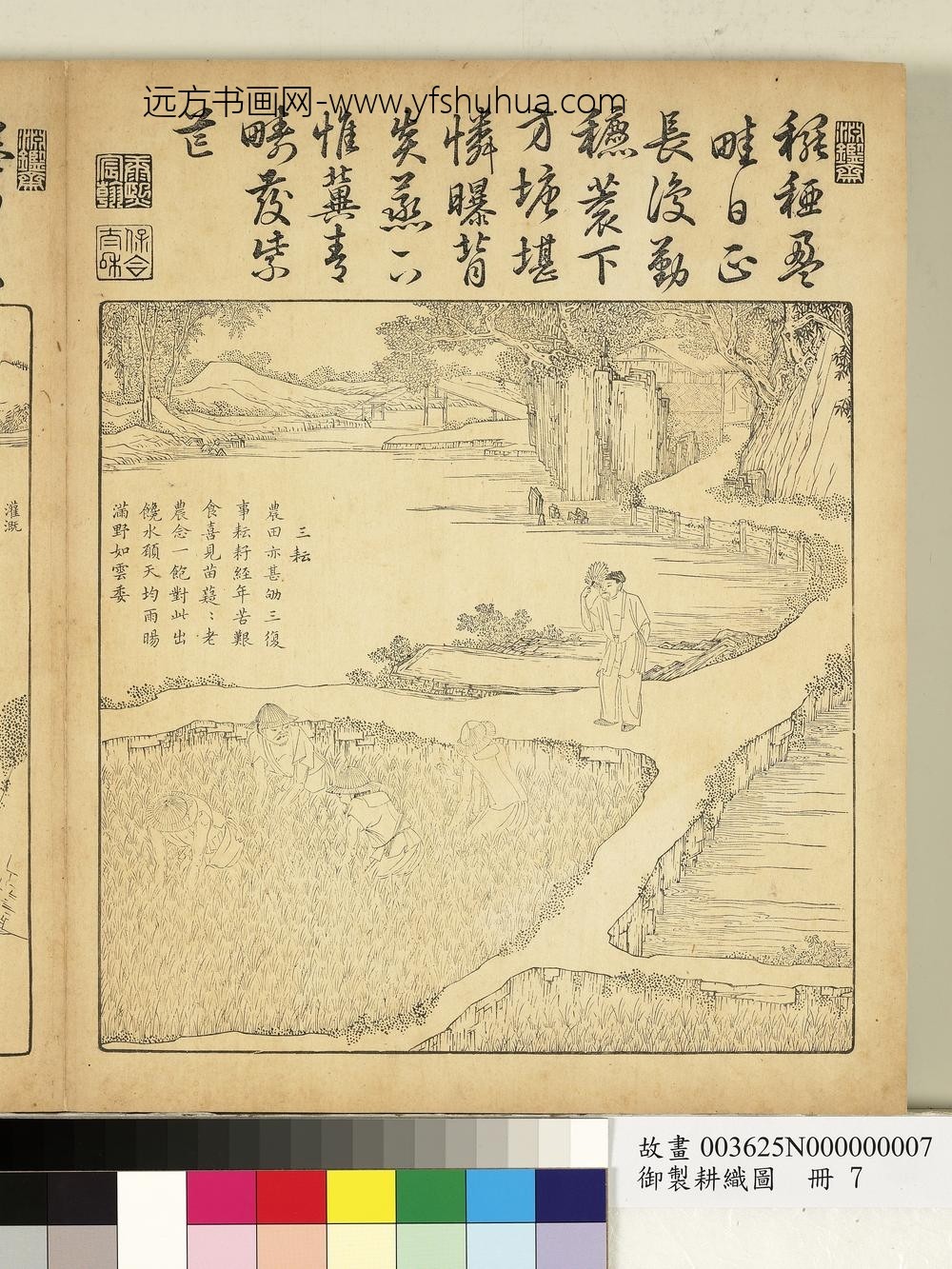 御制耕织图册-三耘（朱圭镌刻）