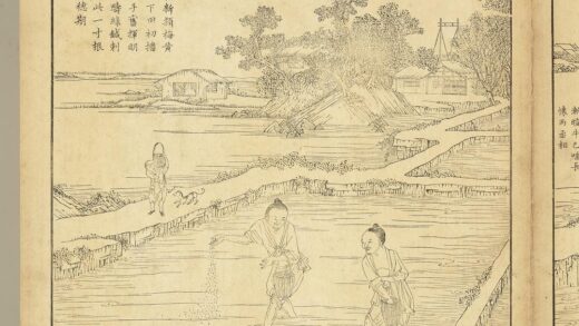 御制耕织图册 布秧（朱圭镌刻）.jpg
