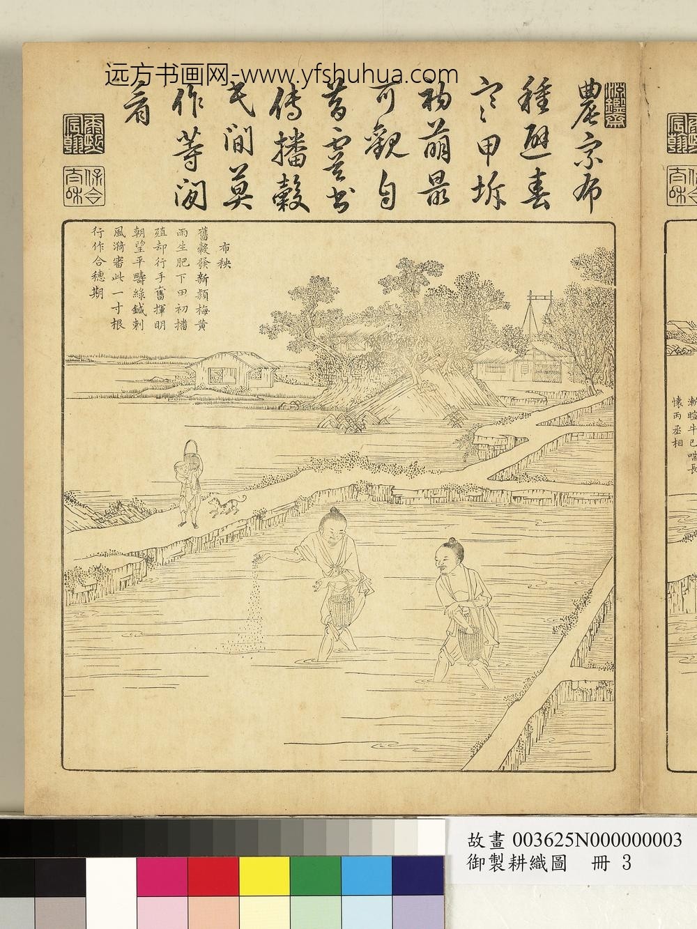 御制耕织图册-布秧（朱圭镌刻）