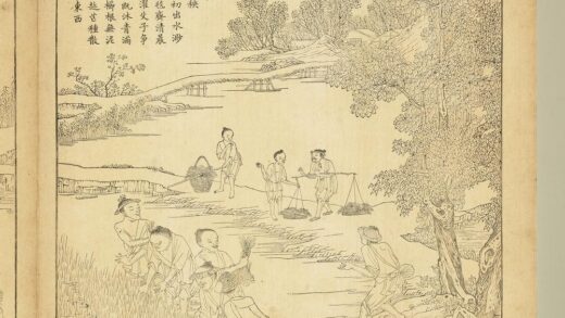 御制耕织图册 拔秧（朱圭镌刻）.jpg