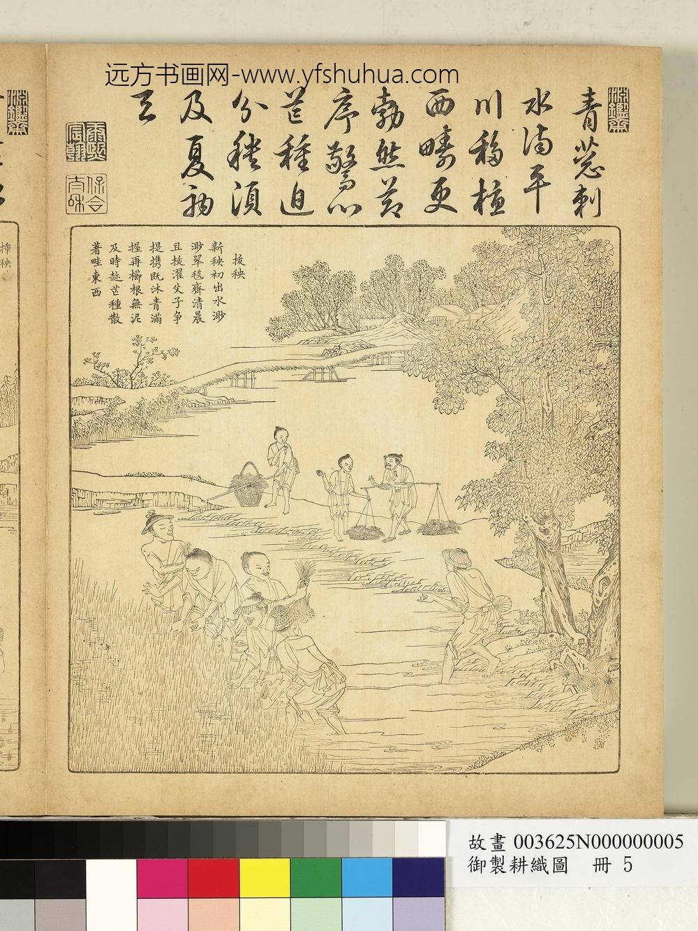 御制耕织图册-拔秧（朱圭镌刻）