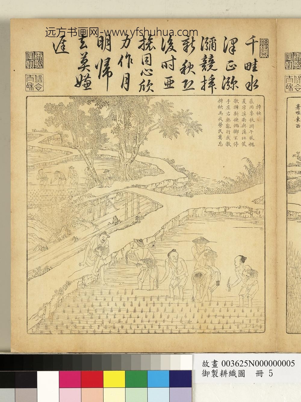 御制耕织图册-插秧（朱圭镌刻）