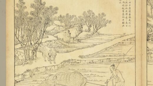 御制耕织图册 耖（朱圭镌刻）.jpg