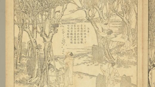 御制耕织图册 采桑（朱圭镌刻）.jpg