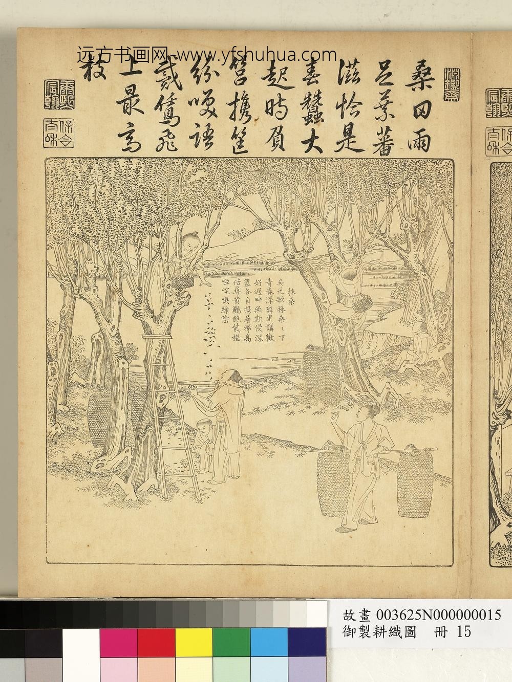 御制耕织图册-采桑（朱圭镌刻）