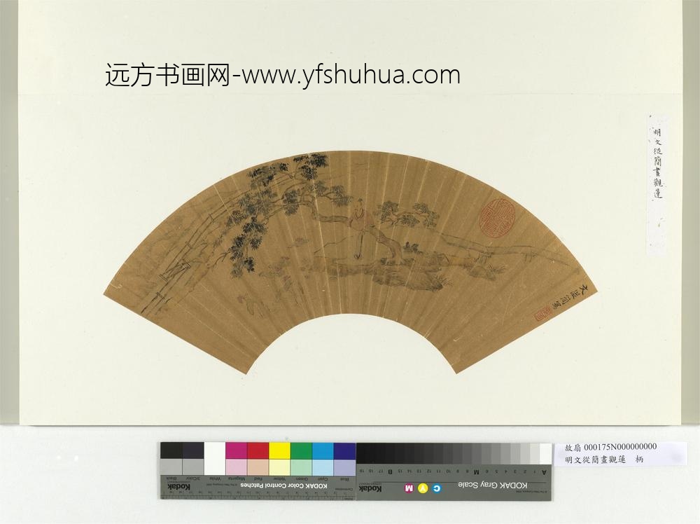 明文从简画观莲册页
