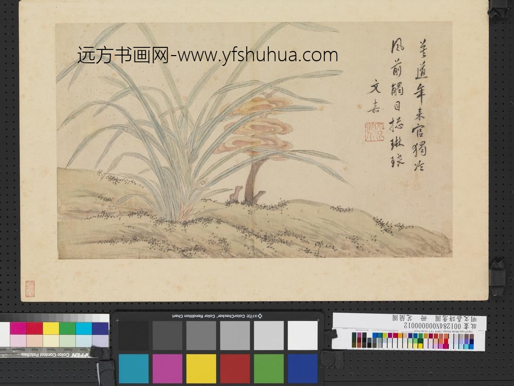 明文嘉诗意图册芝兰图
