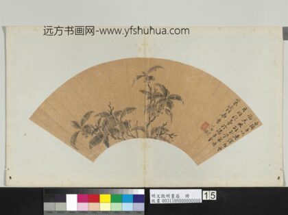 明文征明画扇册桂花.jpg