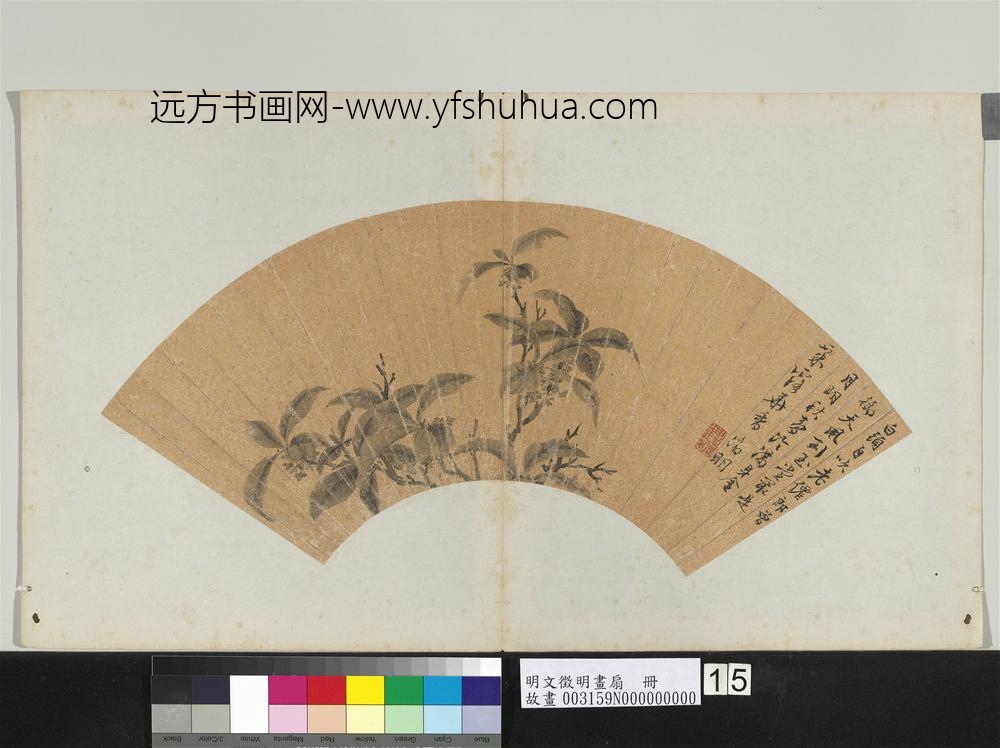 明文征明画扇册桂花