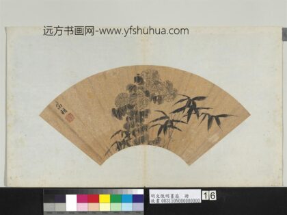 明文征明画扇册菊花.jpg