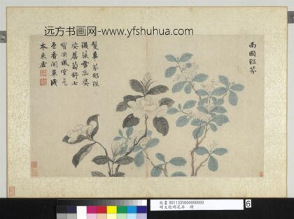 明文征明花卉册南国联芬.jpg