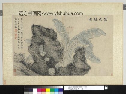 明文征明花卉册绿天歧秀.jpg