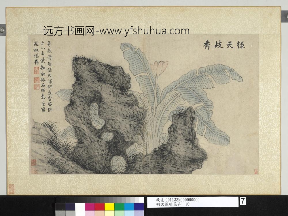 明文征明花卉册绿天歧秀