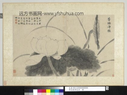 明文征明花卉册芳塘净植.jpg