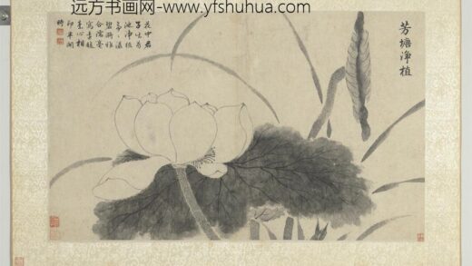 明文征明花卉册芳塘净植.jpg