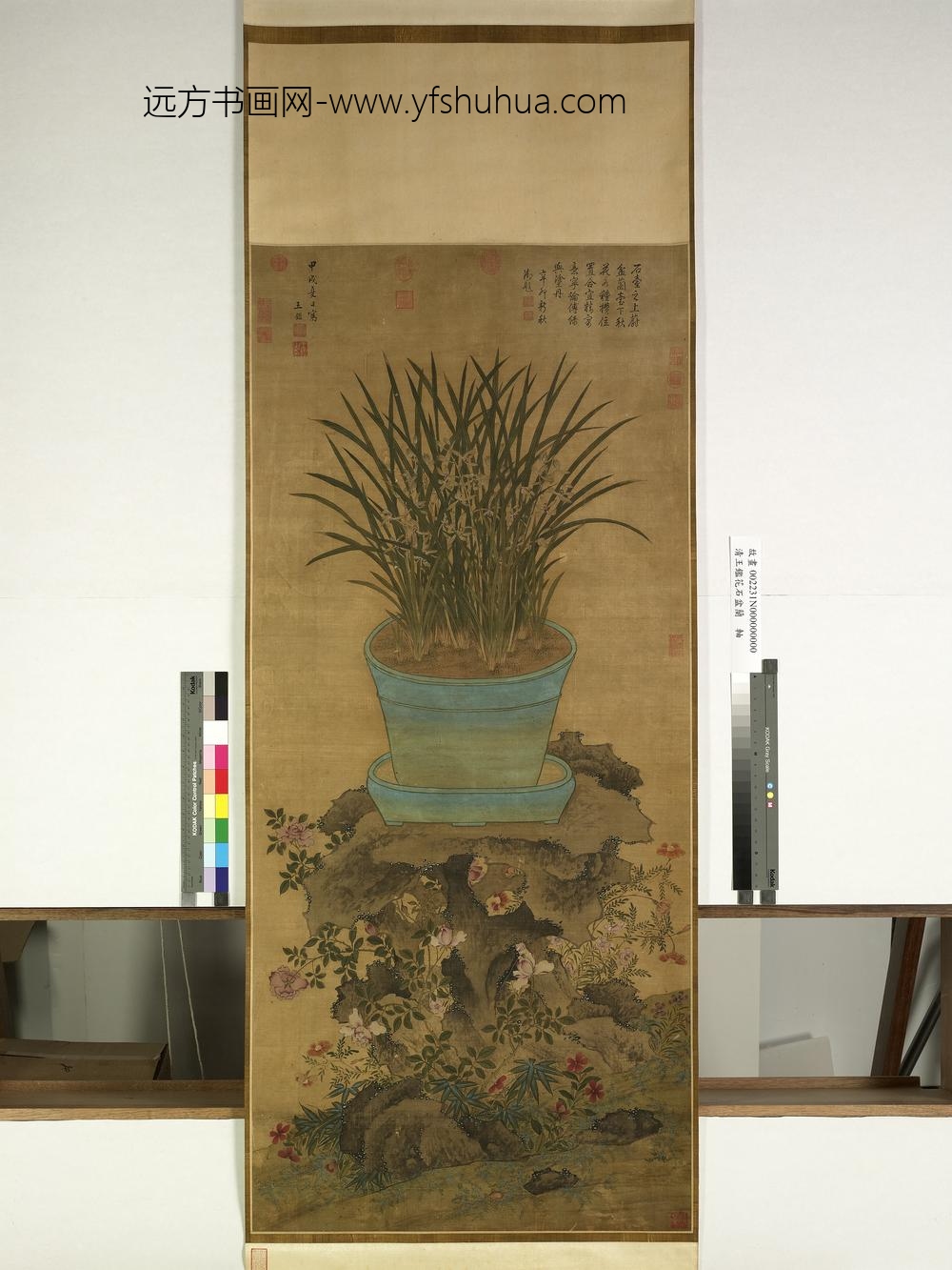 明王鉴花石盆兰轴