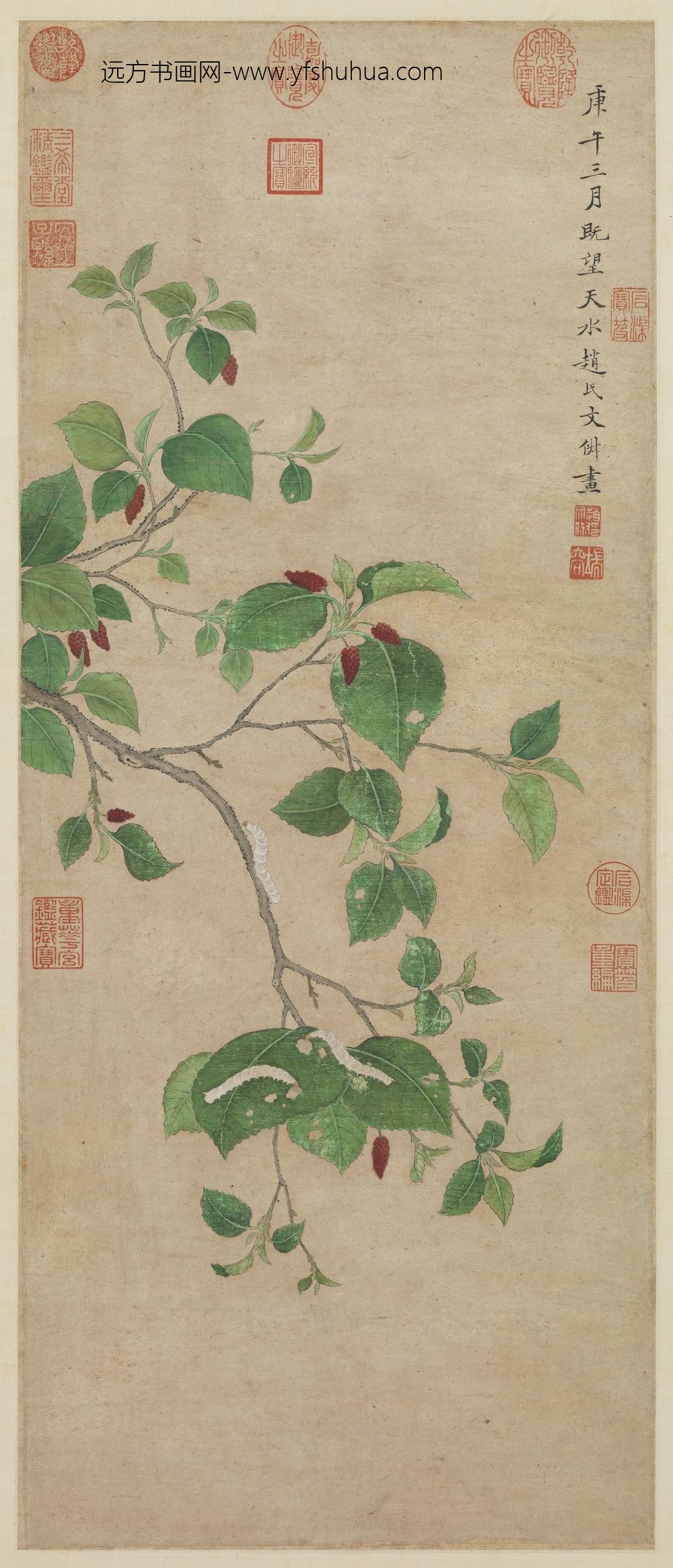 明赵文俶画春蚕食叶轴