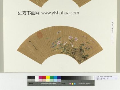 明赵文俶画秋花册页.jpg