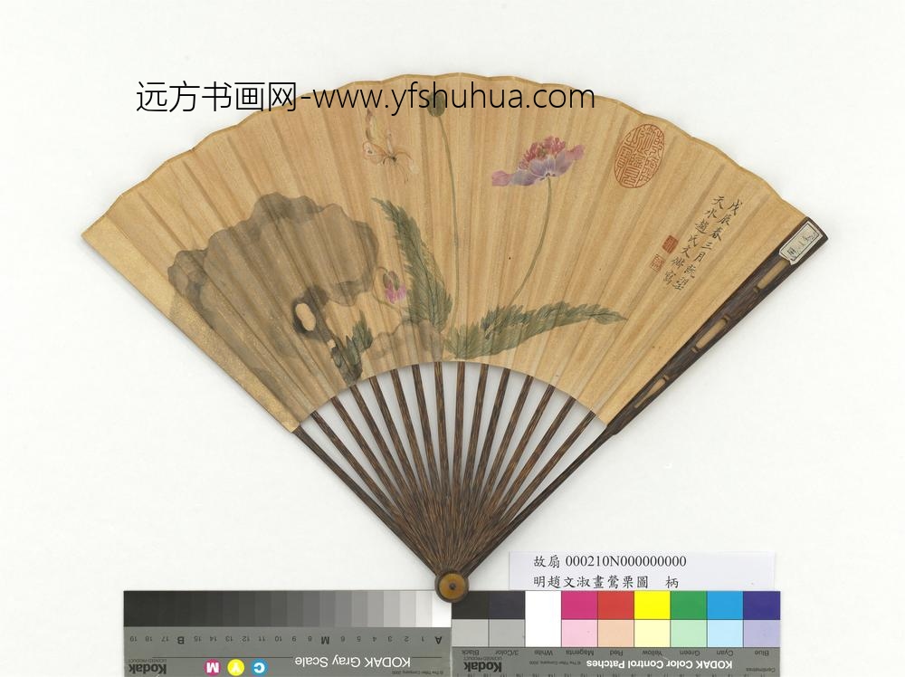 明赵文俶画莺栗图成扇-