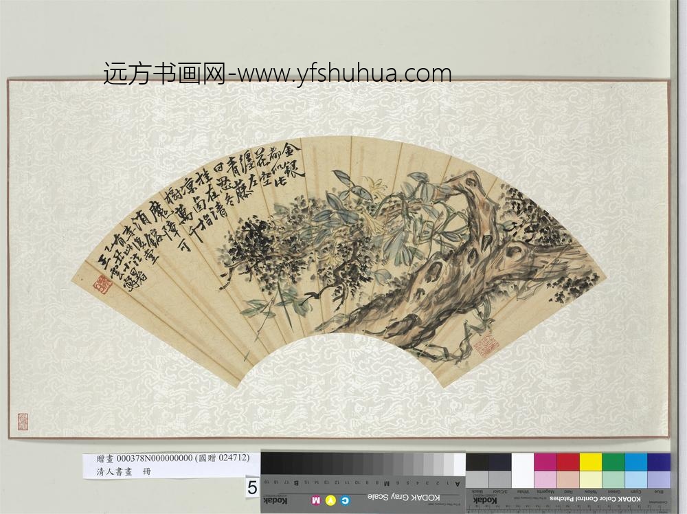清人书画册王云古柏青藤