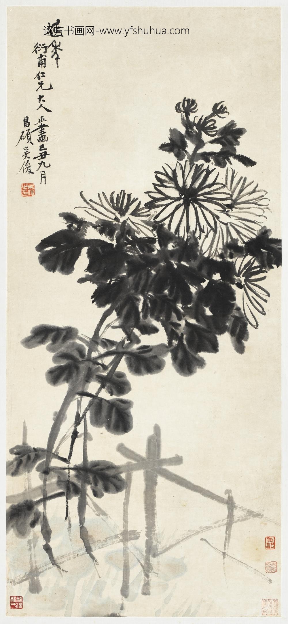 清吴昌硕墨菊轴清吴昌硕墨菊轴