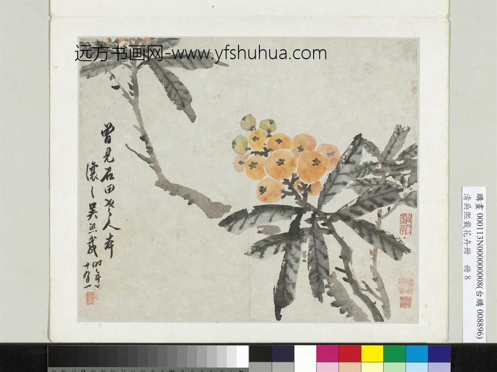 清吴熙载花卉册枇杷