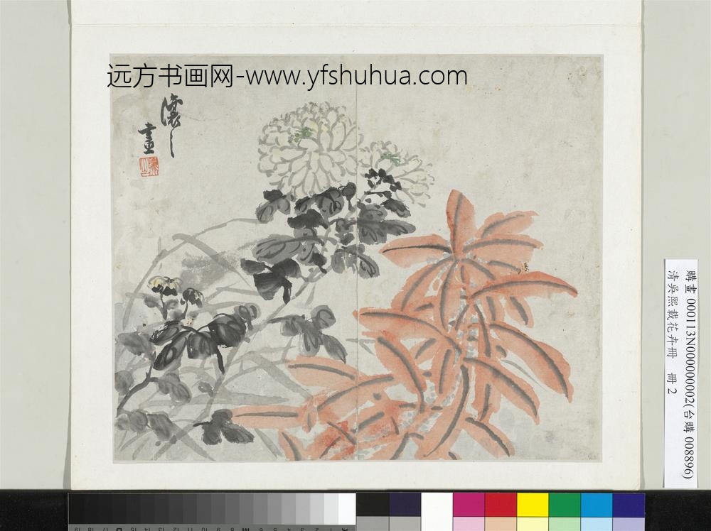 清吴熙载花卉册菊花雁来红